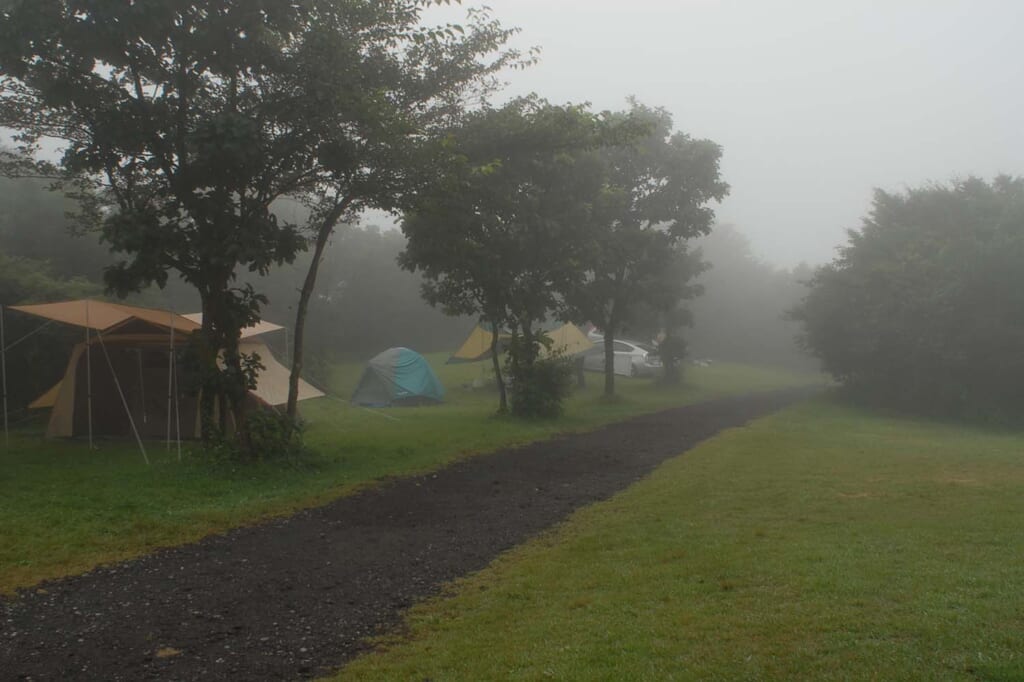 霧雨のなかのキャンプ