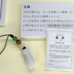 【画像】昆虫の専門家に教えてもらおう！　虫たちとの上手な付き合い方【セミ編】 〜 画像1