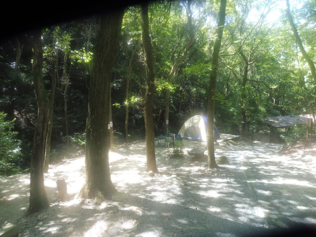 丸山キャンプ場の木立ちに囲まれたキャンプサイト