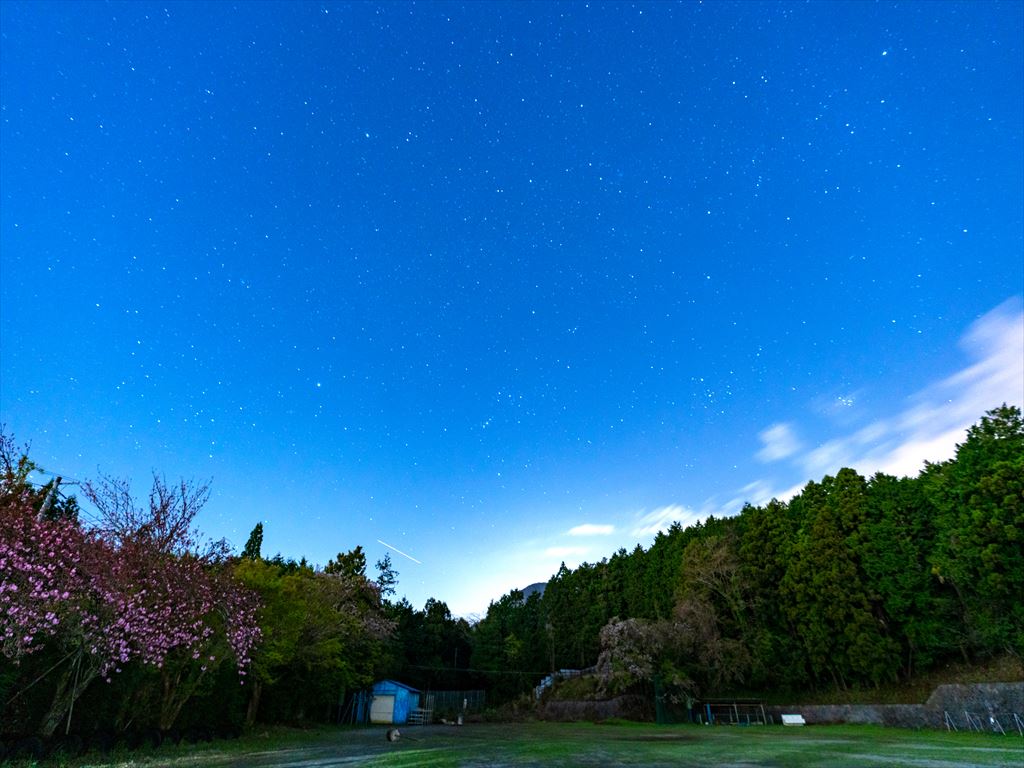 CAMPiece南足柄の星空