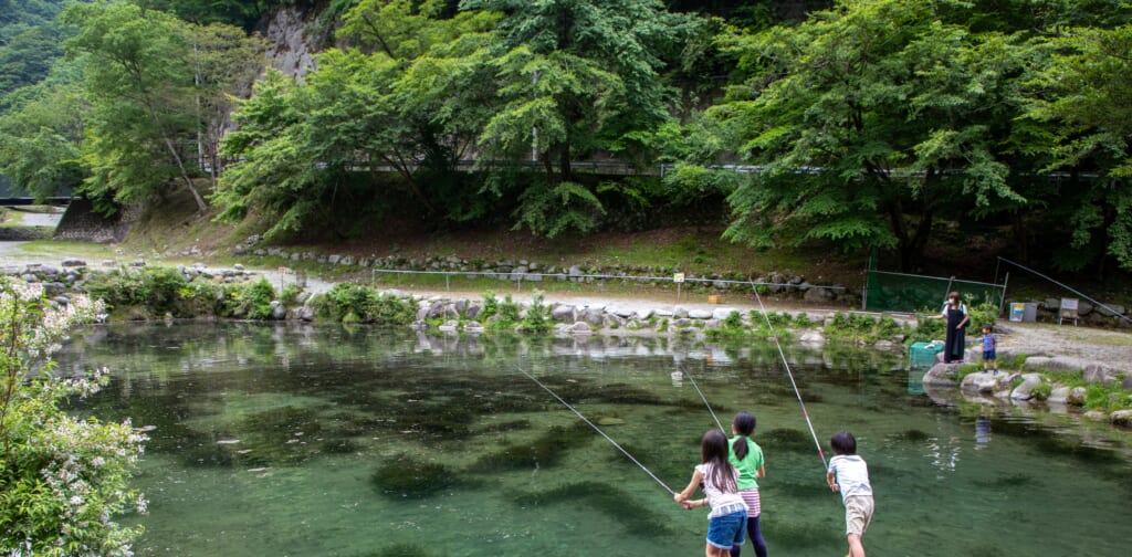 ウェルキャンプ西丹沢の釣り堀