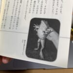 【画像】「衝撃のアウトドア本」発掘レビュー！　STRANGE OUTDOORE BOOK   vol.5『野食ハンターの七転八倒日記』 〜 画像1