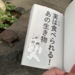 【画像】「衝撃のアウトドア本」発掘レビュー！　STRANGE OUTDOORE BOOK   vol.5『野食ハンターの七転八倒日記』 〜 画像1