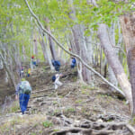 【画像】「登山の防虫」カギは「ディート」！　その「効能」とそれ以外の「防虫アイテム」とは 〜 画像1