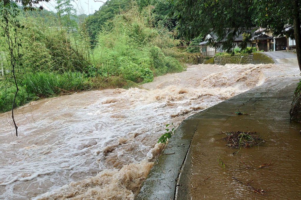 濁流の河川