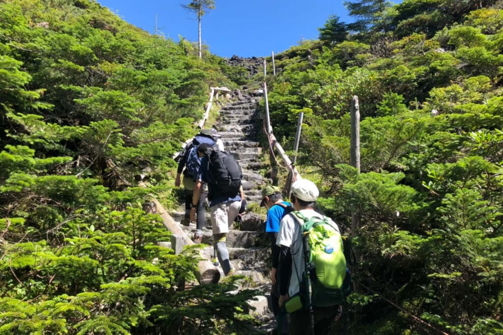 山登りをするハイカー