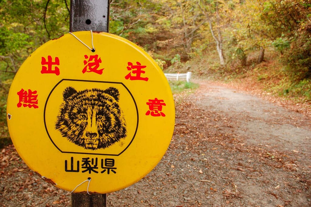 熊出没注意の看板