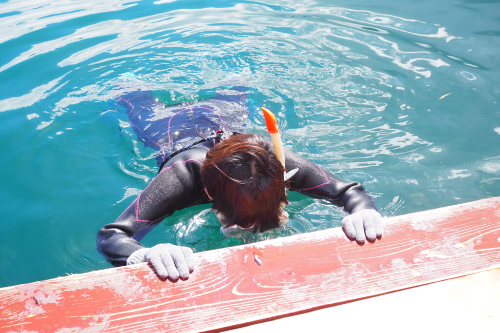 体験型施設 Dolphin Fantasy伊東でイルカと泳ぐ姫乃たま