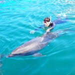 【画像】姫乃たまの「おそとで生きるもん！」 vol.14　伊豆の海でイルカと一緒に泳いでみた！ 〜 画像1