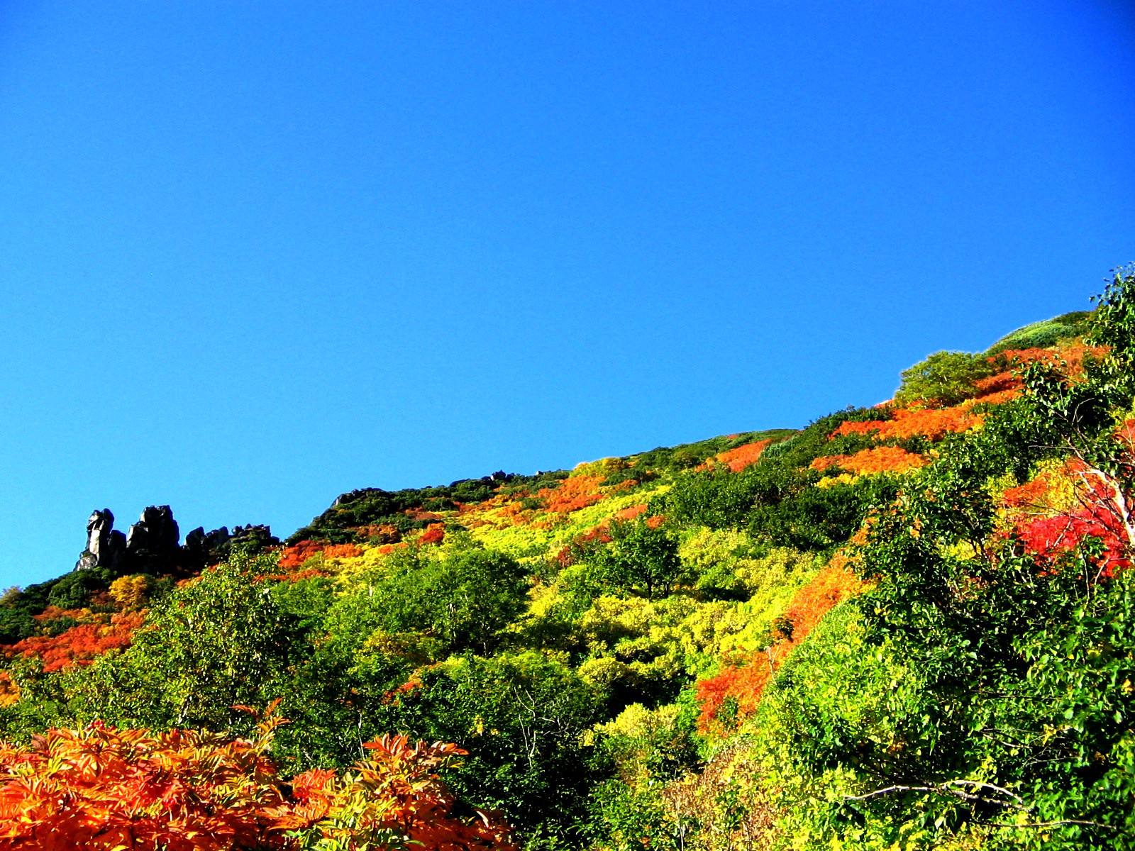 kouyouhokkaido_01.jpg