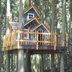 山梨県のグランピング「ミューの森」のツリーハウス