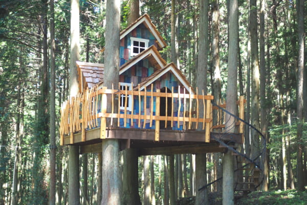 山梨県のグランピング「ミューの森」のツリーハウス