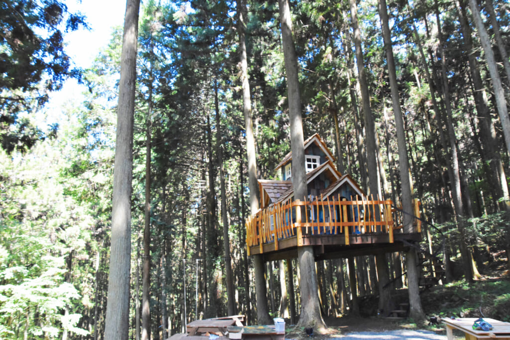 山梨県のグランピング「ミューの森」、OLYMPUS DIGITAL CAMERAで撮ったツリーハウス