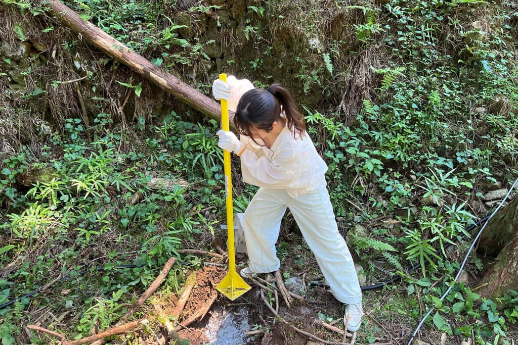 山梨県のグランピング「ミューの森」