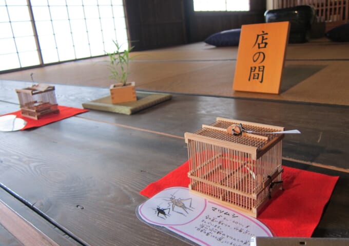 虫かごと虫
