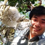 【画像】昆虫の専門家に教えてもらおう！　虫たちとの上手な付き合い方【セミ編】 〜 画像1