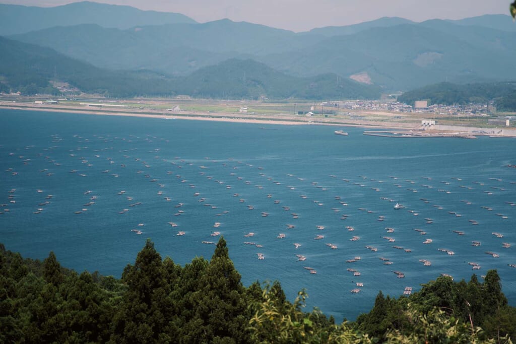 陸前高田の牡蠣棚