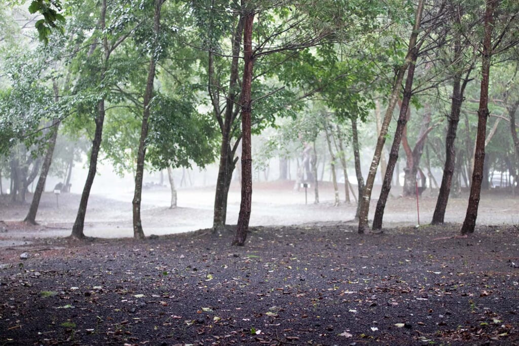 雨の林間サイト