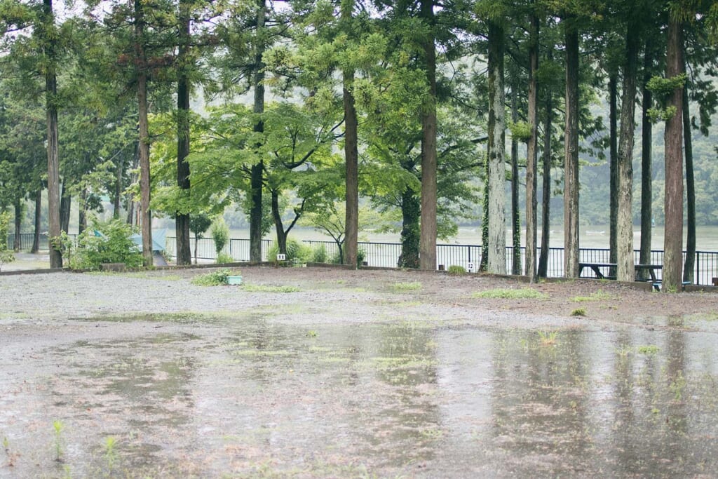 雨で濡れるキャンプ場