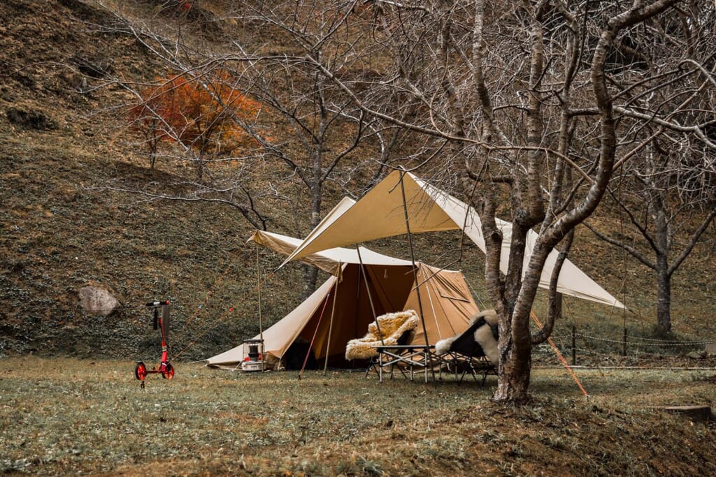 秋キャンプのテントサイト