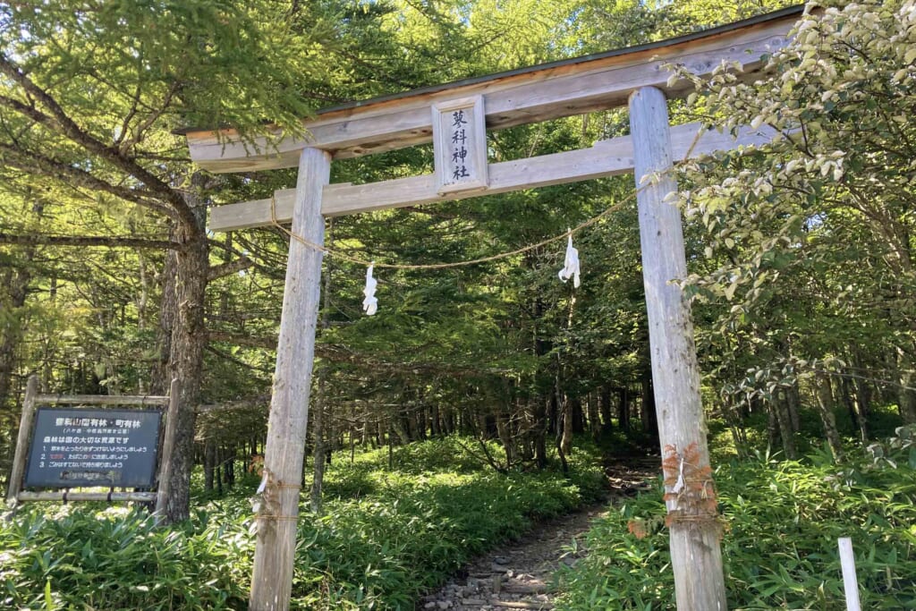 蓼科神社の鳥居