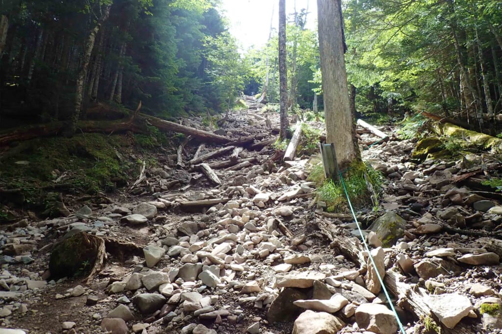 傾斜が厳しい蓼科山の岩場