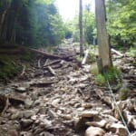 【画像】苔むしたジブリな世界からアスレチックモード全開の岩歩き！　秀麗な八ヶ岳・蓼科山はシビアでタフな中級ハイク 〜 画像1