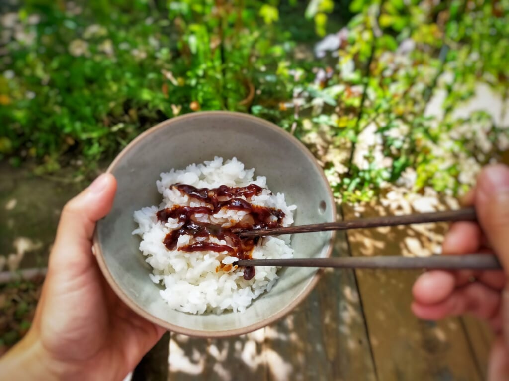 ご飯にかける