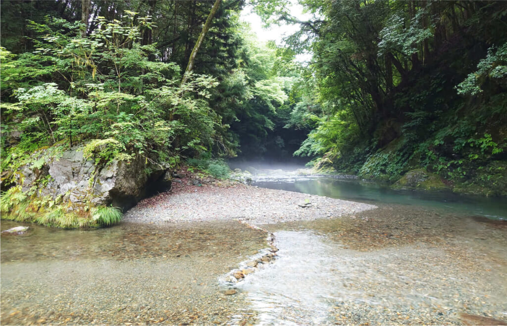 山梨県のグランピング「ミューの森」、OLYMPUS DIGITAL CAMERA