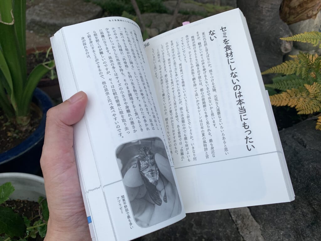 茸本朗氏の著書『野食ハンターの七転八倒日記』