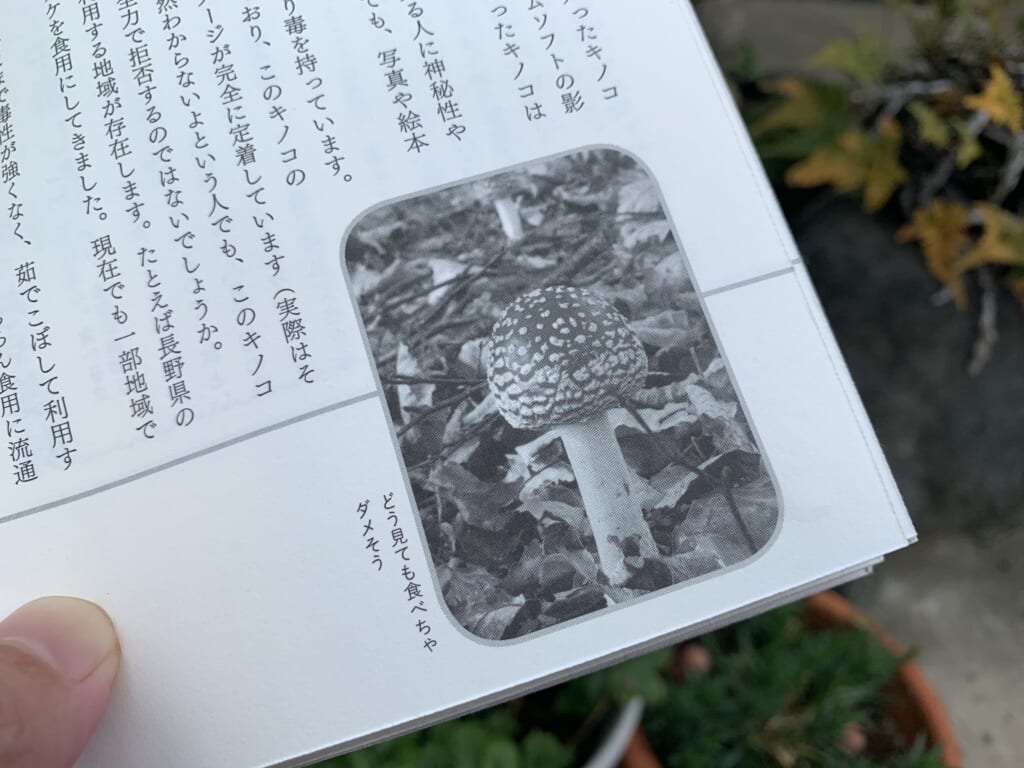 茸本朗氏の著書『野食ハンターの七転八倒日記』