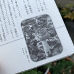 【画像】「衝撃のアウトドア本」発掘レビュー！　STRANGE OUTDOORE BOOK   vol.5『野食ハンターの七転八倒日記』 〜 画像1