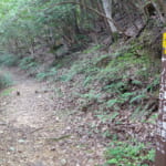 【画像】冒険心をくすぐるプチ滝登りも！　水しぶきを楽しみながら歩く「六甲山・大池地獄谷」ザブザブ沢歩きルポ 【前編】 〜 画像1