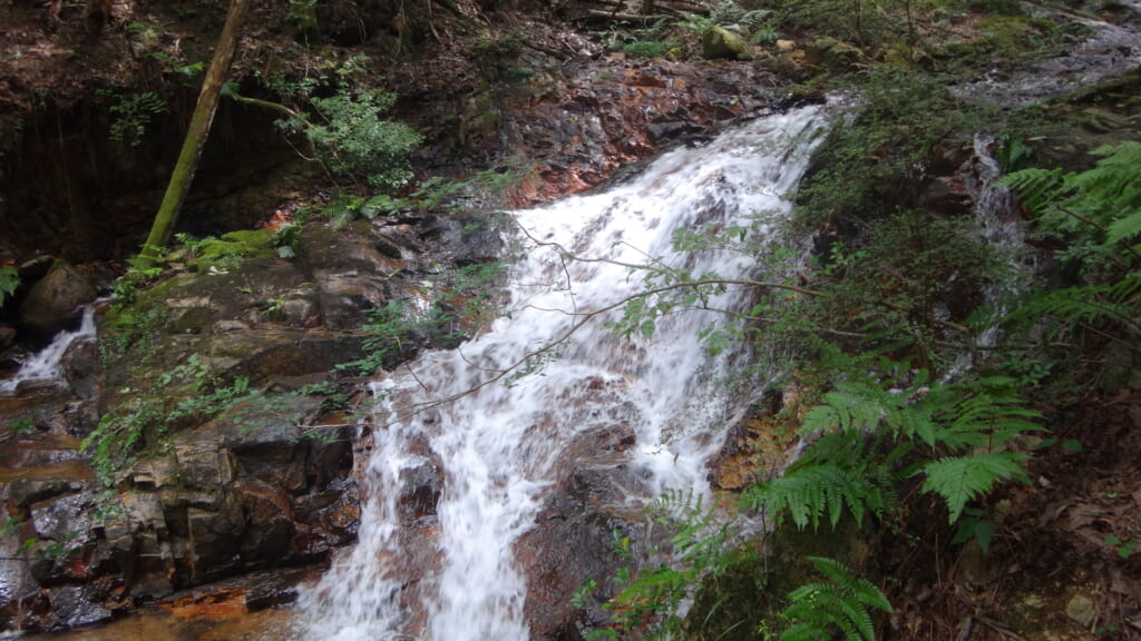 六甲山北斜面の「大池地獄谷」は小滝が連続する美しい沢