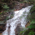 六甲山北斜面の「大池地獄谷」は小滝が連続する美しい沢