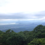 【画像】牧野富太郎も通った薬草と花の名山。高山植物を愛でながら伊吹山ハイキング【前編】 〜 画像1