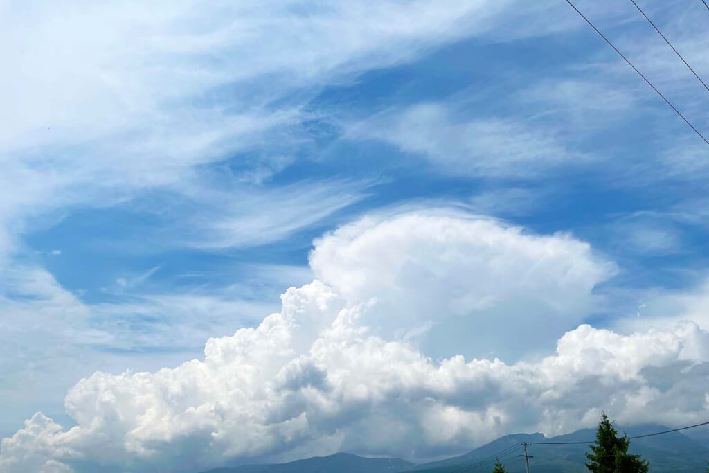 大空に広がる入道雲