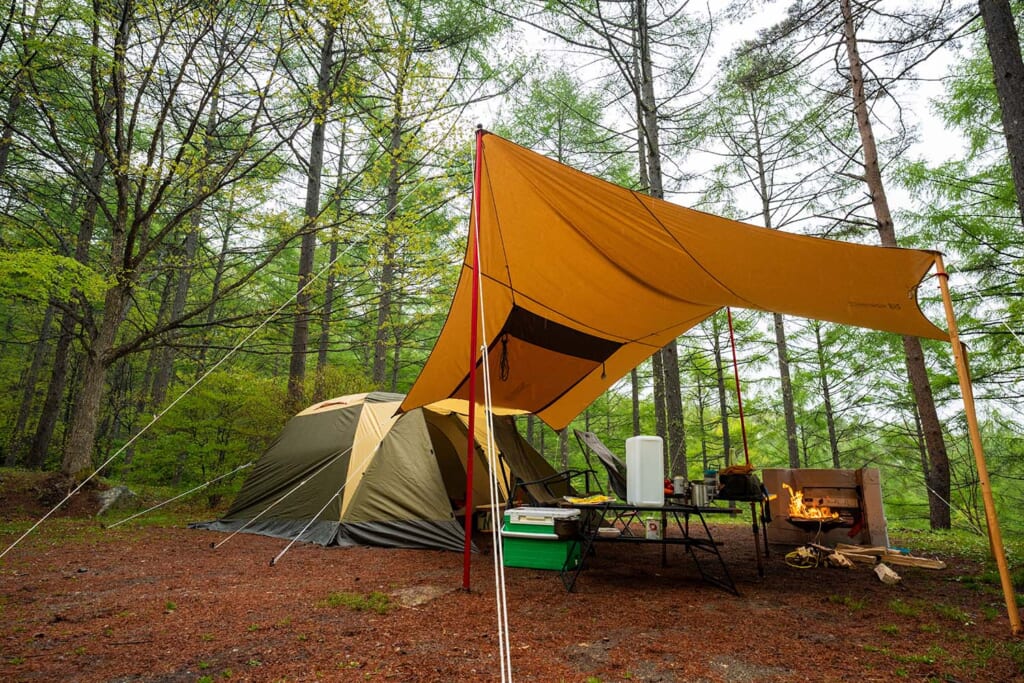 林間サイトのテント設営