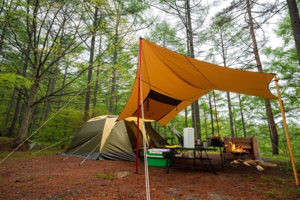 林間サイトのテント設営