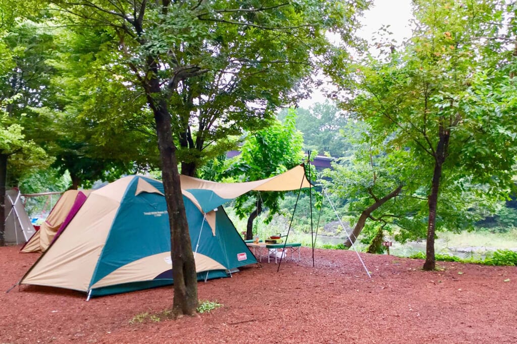 林間サイトに設営したドーム型テント