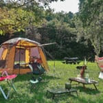 ドーム型テントのキャンプサイト