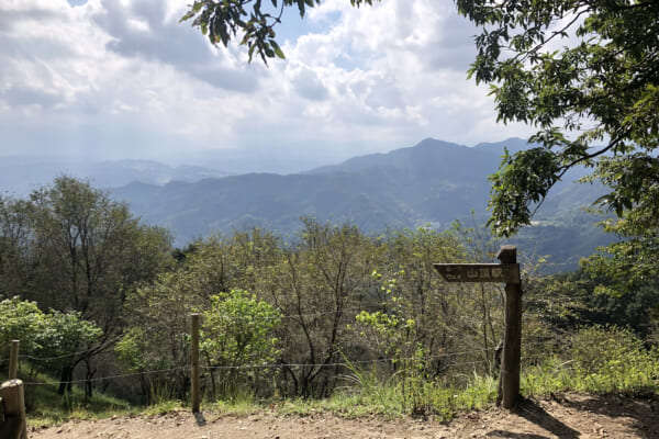 宝登山頂上からの風景