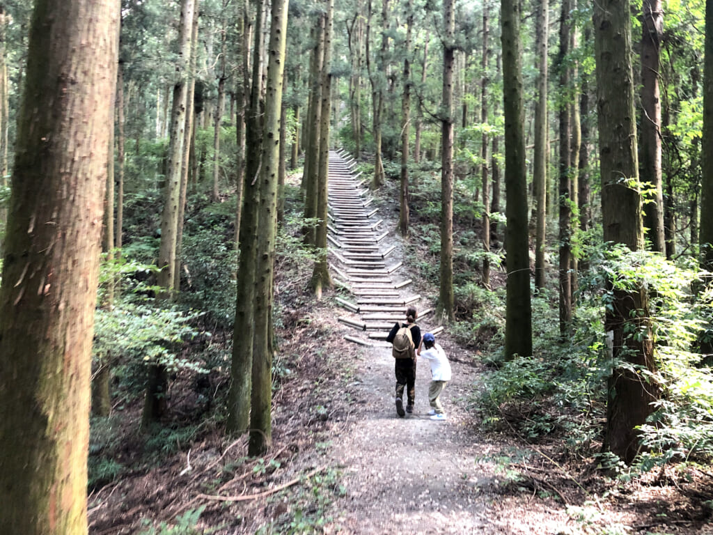 急に現れた勾配のきつい階段