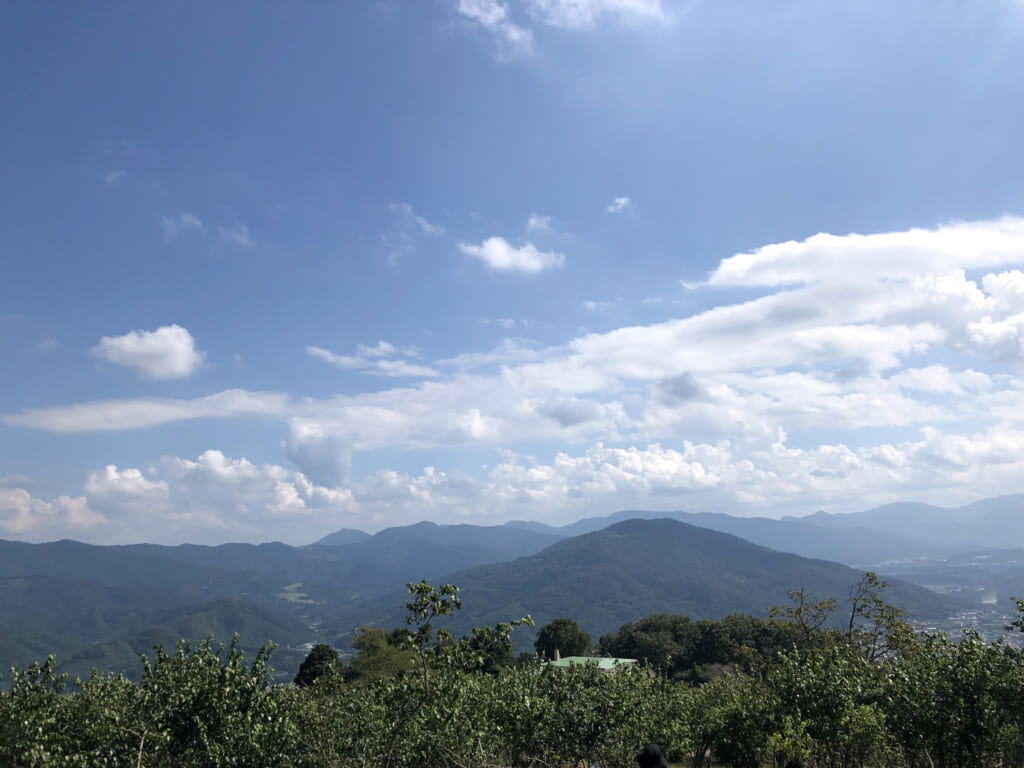 山頂から撮影した風景