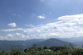 山頂から撮影した風景