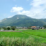 【画像】牧野富太郎も通った薬草と花の名山。高山植物を愛でながら伊吹山ハイキング【前編】 〜 画像1