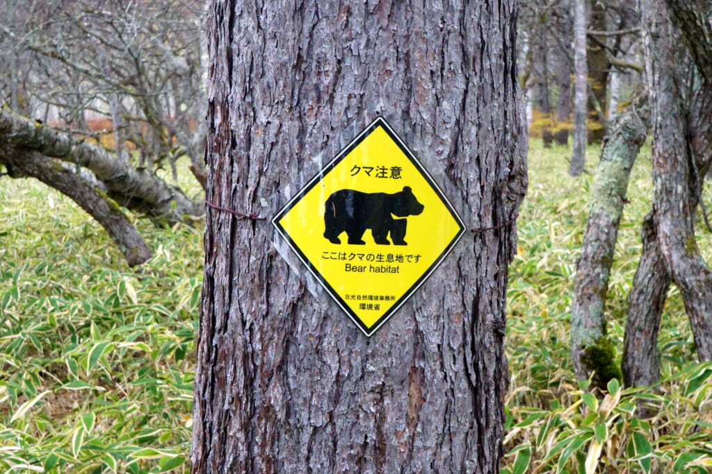 森の中のクマ注意看板