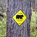 森の中のクマ注意看板