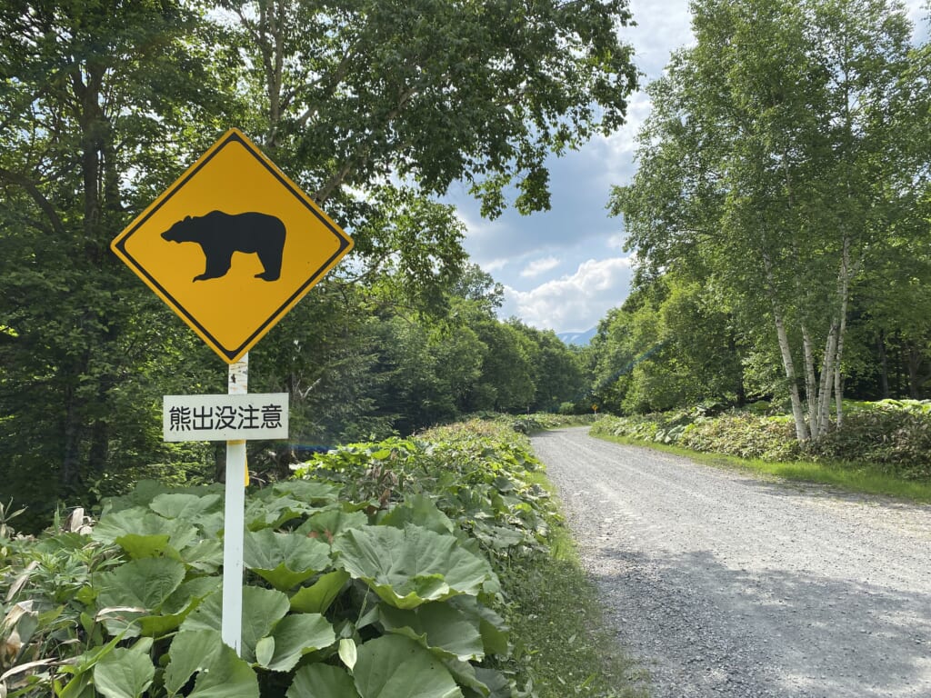 クマ注意の道路標識