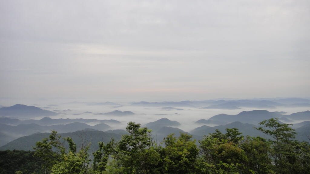 盆地の雲海